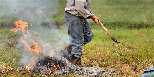 Ordinanza per la combustione di rifiuti vegetali. Deroga al divieto di abbruciamento di materiale vegetale dal giorno 1 NOVEMBRE 2025 AL 16 NOVEMBRE 2025